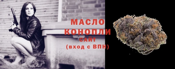 молекула духа Покров
