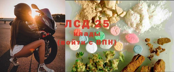мяу мяу мука Богданович