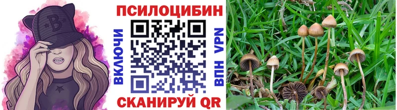 Галлюциногенные грибы Psilocybine cubensis  Константиновск 